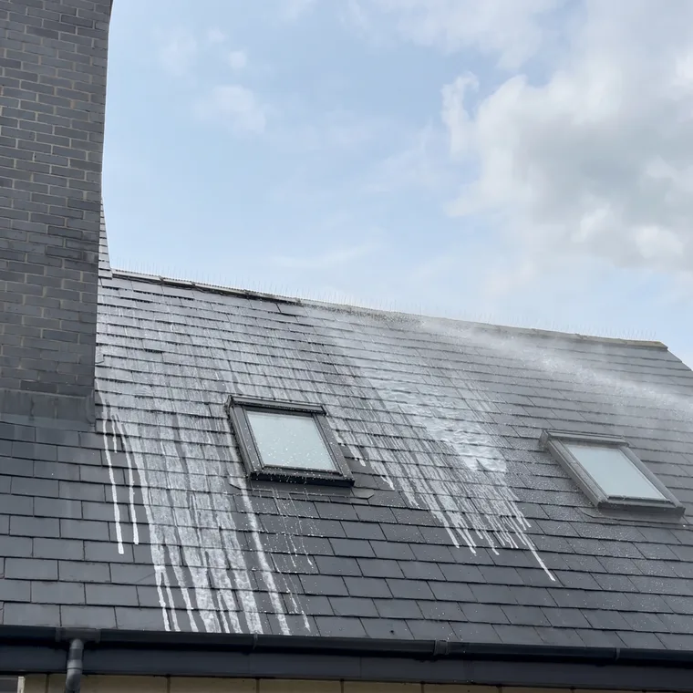 Spraying biocide treatment onto a slate roof under a blue sky